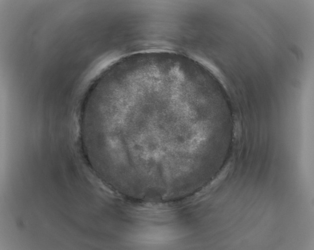 X0000113881407200910221346