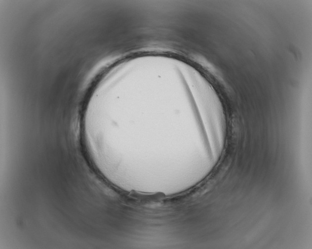 X0000113881408200910221346