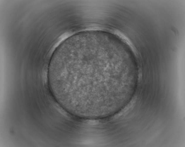 X0000113881409200910221346