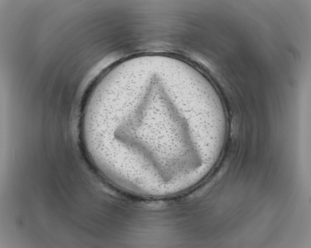 X0000113881410200910221346