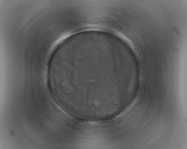 X0000113881411200910221346