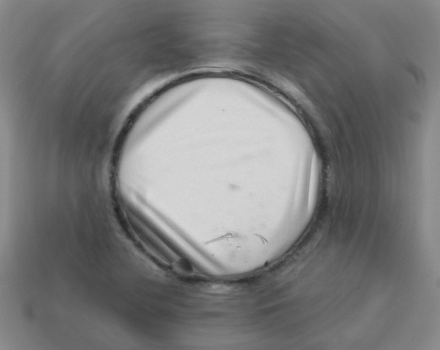 X0000113881412200910221346