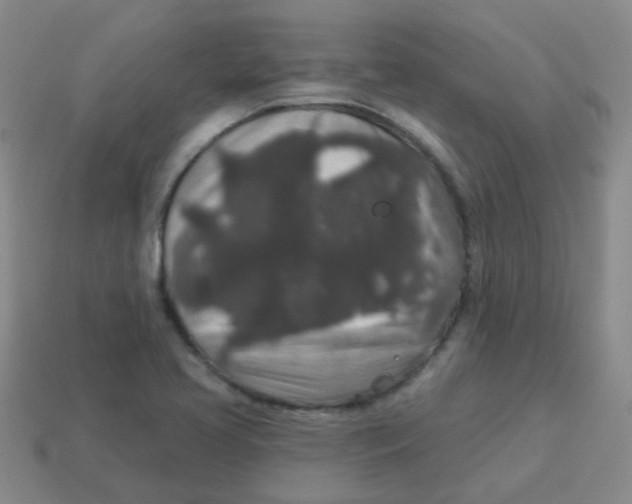 X0000113881413200910221346
