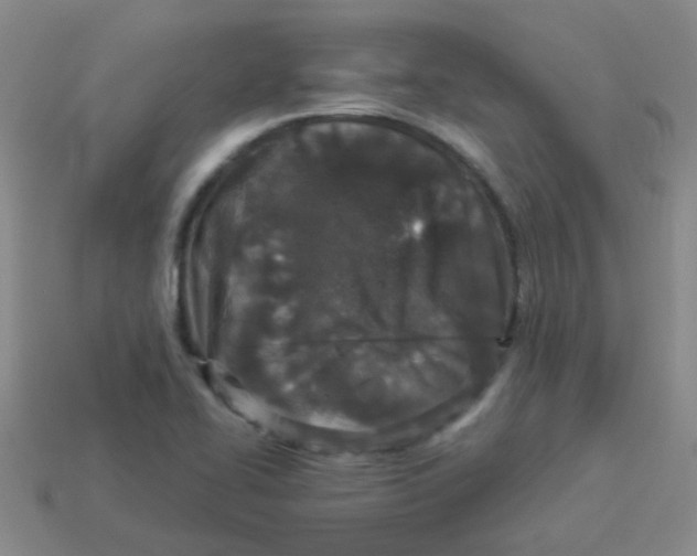 X0000113881414200910221346