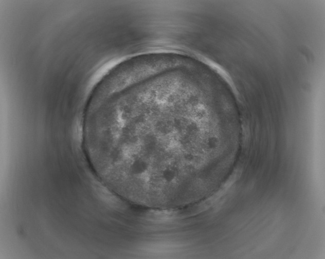 X0000113881415200910221346