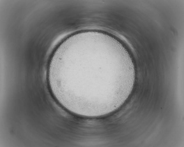 X0000113881416200910221346