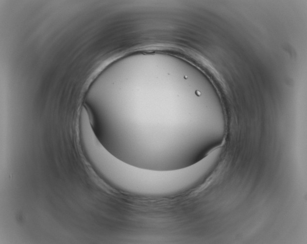 X0000113881417200910221346