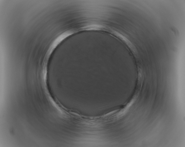 X0000113881418200910221346