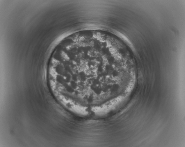 X0000113881419200910221346