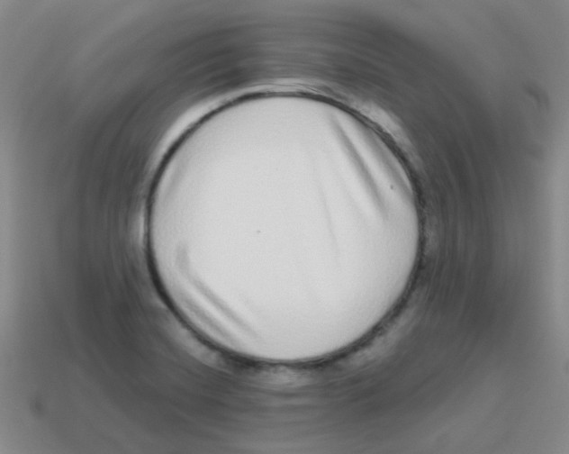 X0000113881420200910221346