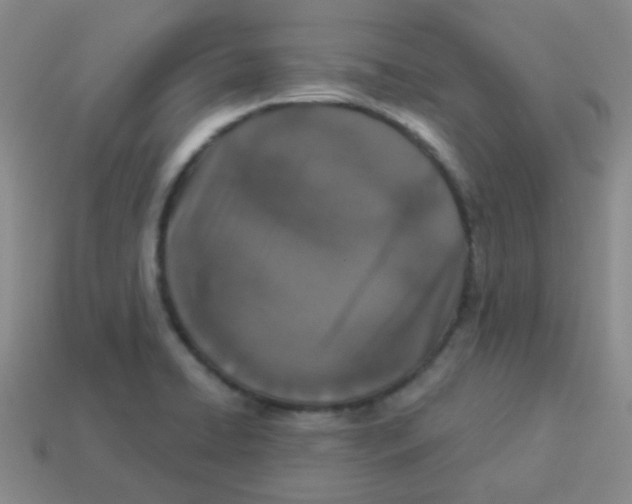 X0000113881422200910221346