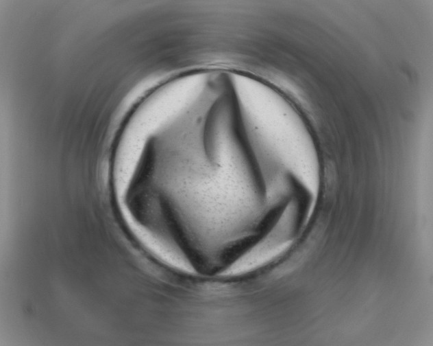 X0000113881424200910221346