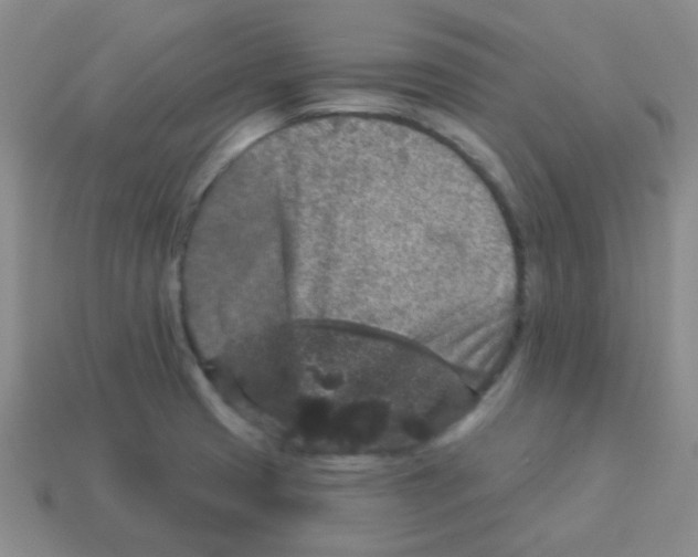 X0000113881425200910221346