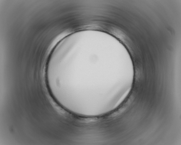 X0000113881426200910221346