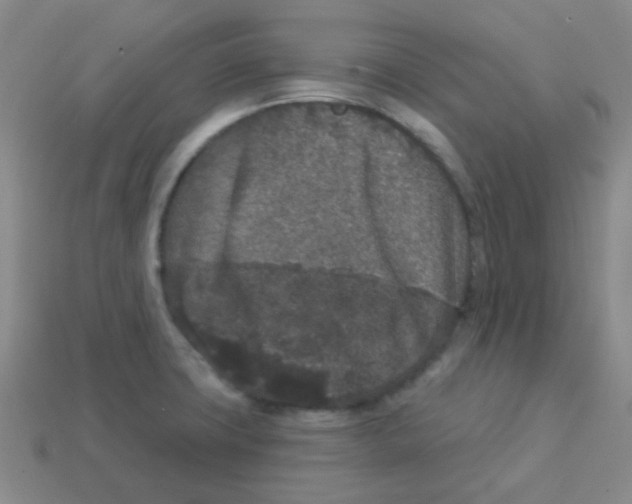 X0000113881427200910221346