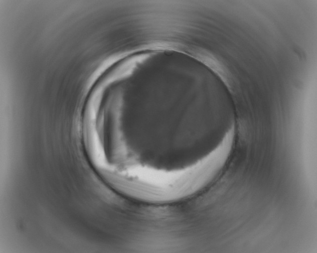 X0000113881428200910221346