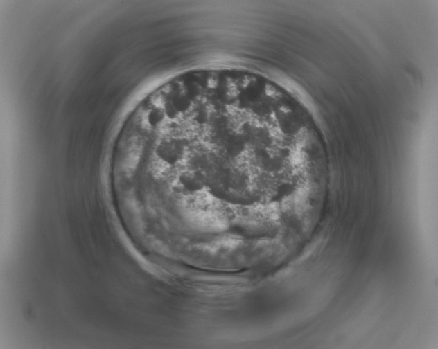 X0000113881429200910221346