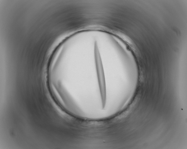 X0000113881430200910221346