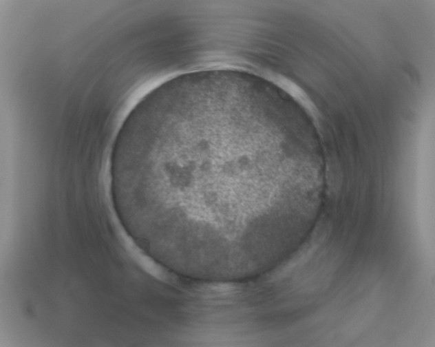X0000113881431200910221346