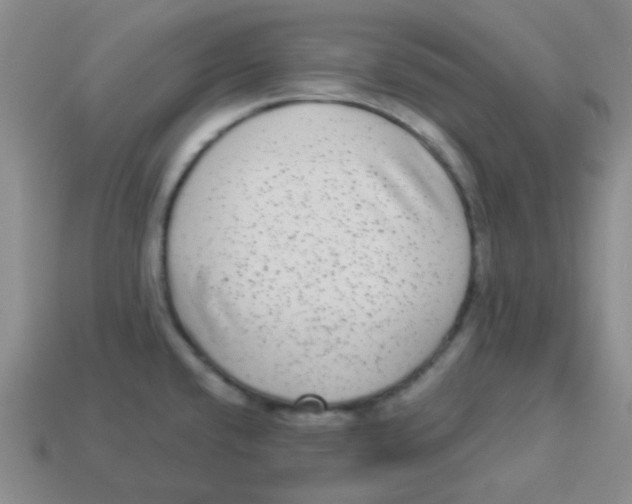 X0000113881432200910221346