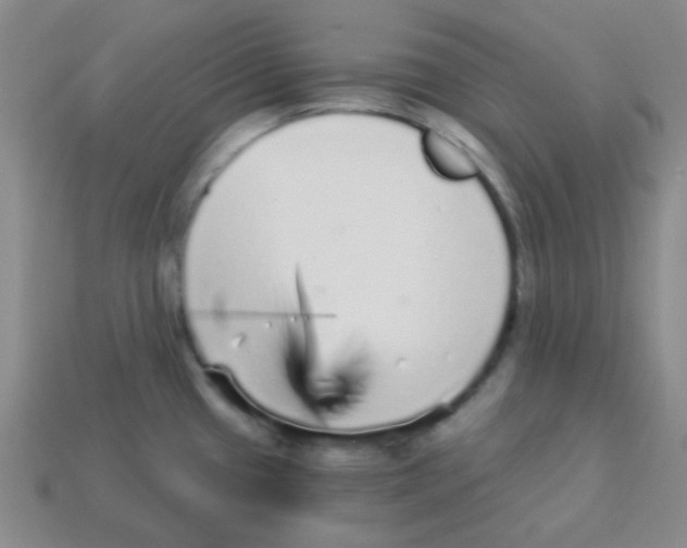 X0000113881433200910221346