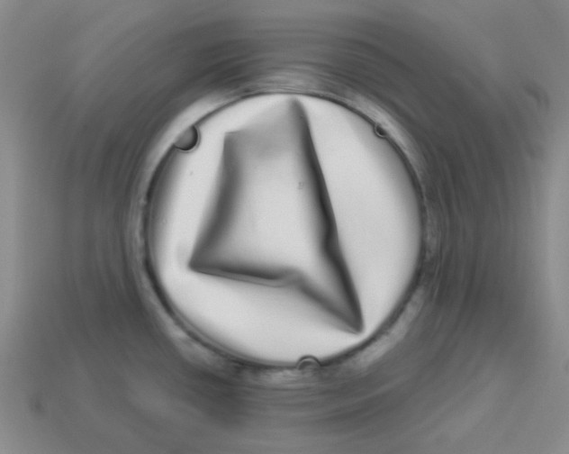 X0000113881434200910221346