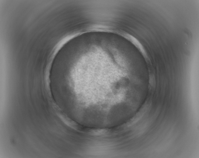 X0000113881435200910221346