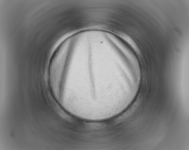 X0000113881436200910221346