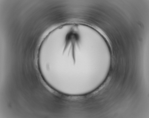 X0000113881437200910221346