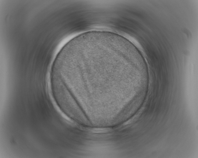 X0000113881440200910221346