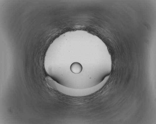 X0000113881441200910221346