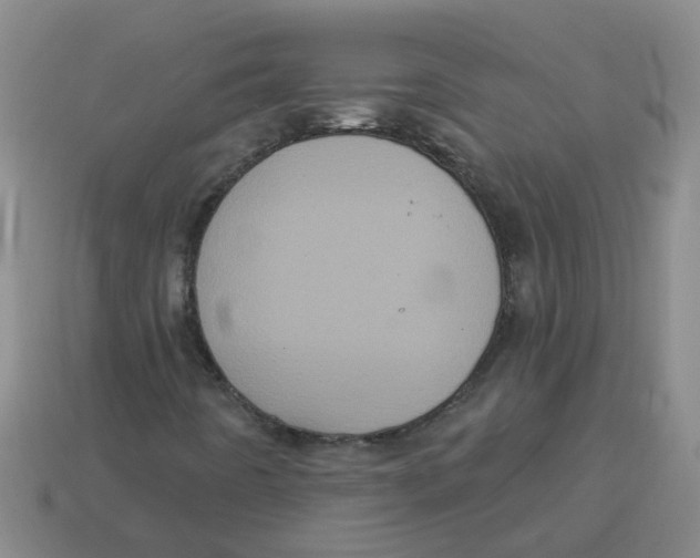 X0000113881442200910221346