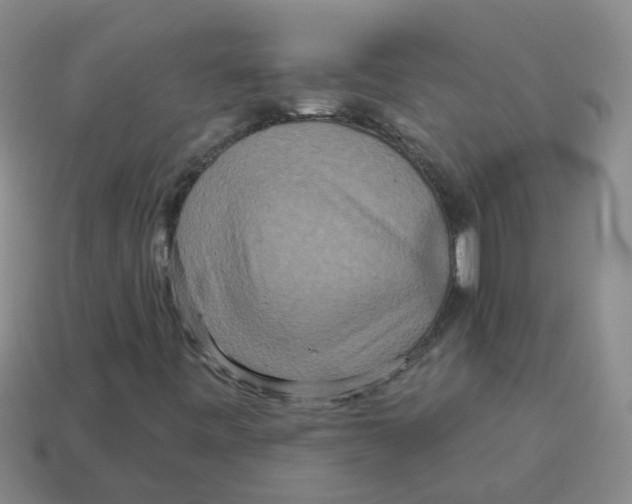 X0000113881443200910221346