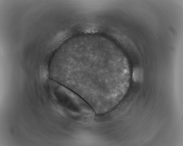 X0000113881444200910221346