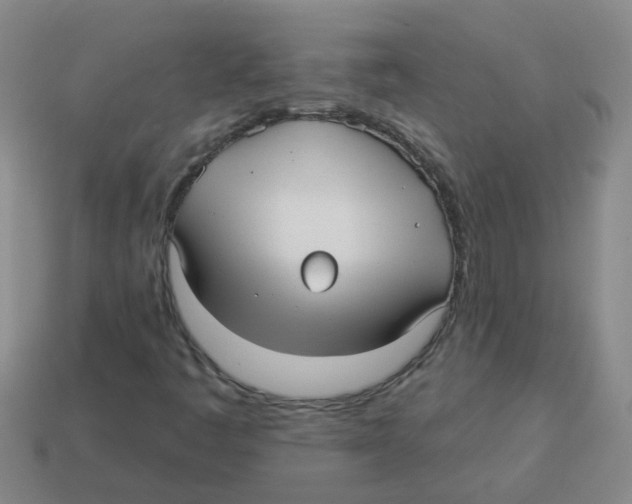 X0000113881445200910221346