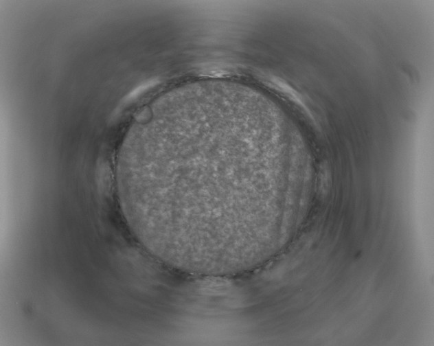 X0000113881446200910221346