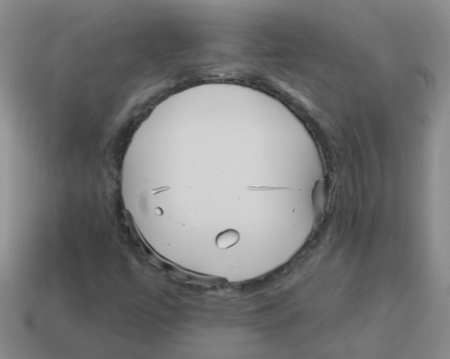 X0000113881447200910221346