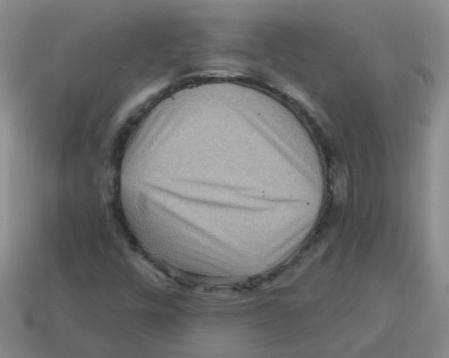 X0000113881448200910221346