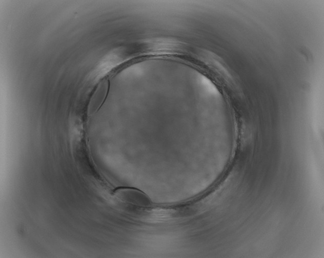 X0000113881449200910221345