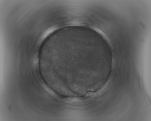 X0000113881450200910221345