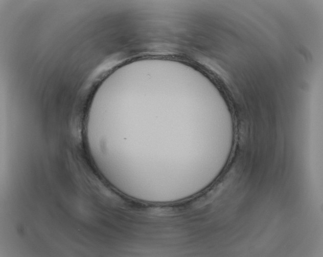 X0000113881451200910221345