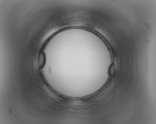 X0000113881452200910221345