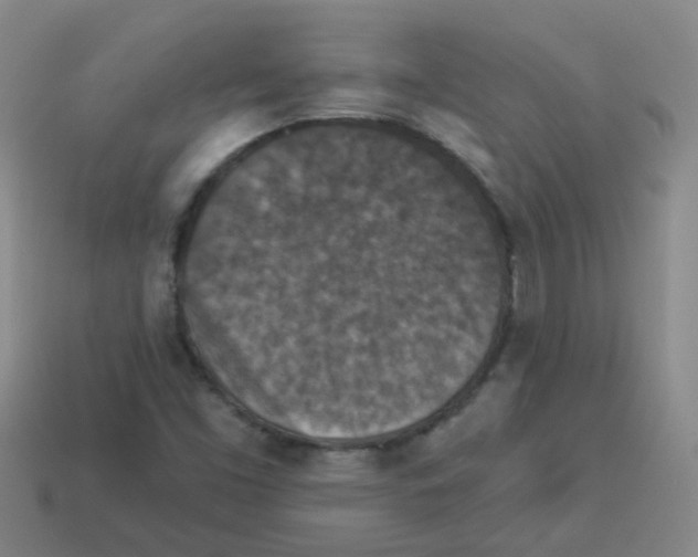 X0000113881453200910221345