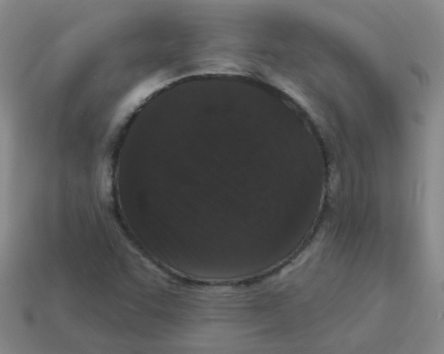 X0000113881455200910221345