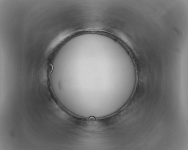 X0000113881456200910221345