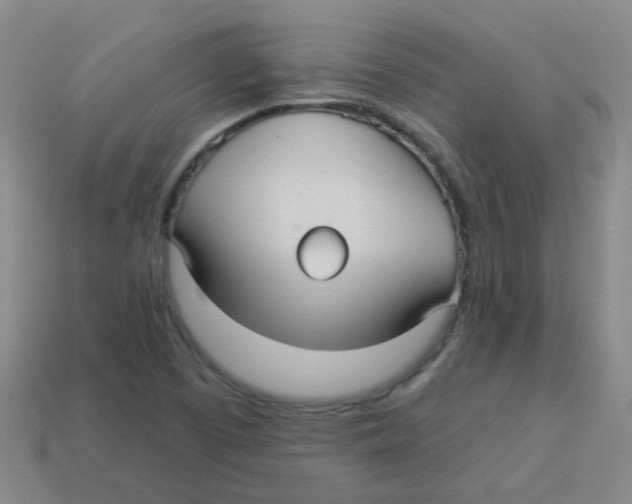 X0000113881457200910221345