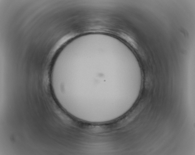 X0000113881458200910221345