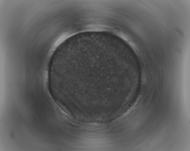 X0000113881459200910221345