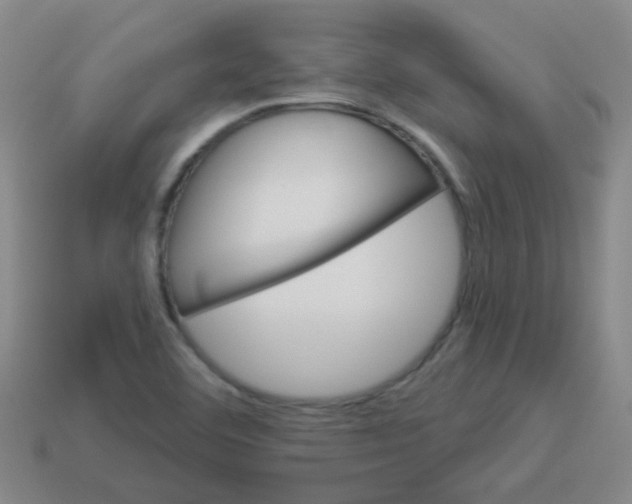 X0000113881460200910221345