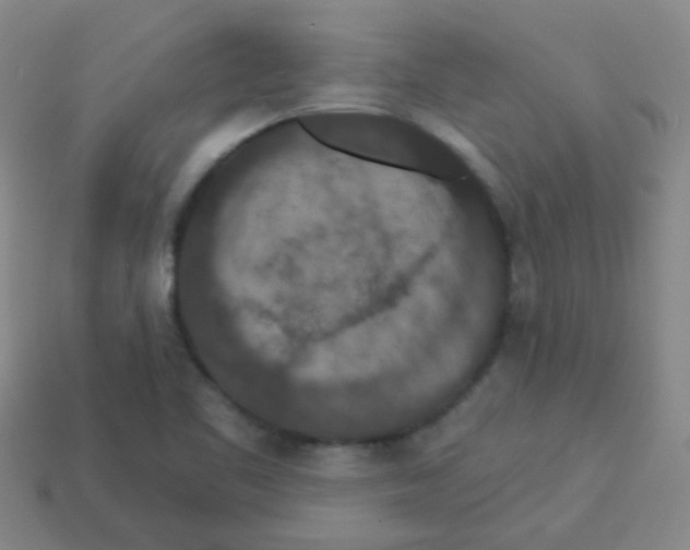 X0000113881461200910221345